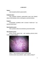 Konspekts 'Osteosarkoma, mastopātija, pūslīšmola, glomerulonefrīts un psoriāze', 6.