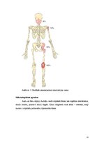 Konspekts 'Osteosarkoma, mastopātija, pūslīšmola, glomerulonefrīts un psoriāze', 13.