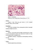 Konspekts 'Osteosarkoma, mastopātija, pūslīšmola, glomerulonefrīts un psoriāze', 14.