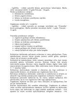 Biznesa plāns 'Biznesa plāns kafejnīcai', 8.