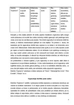 Prakses atskaite 'Prakses atskaite galerijā "Supernova"', 4.