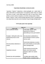 Prakses atskaite 'Prakses atskaite galerijā "Supernova"', 5.