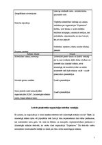 Prakses atskaite 'Prakses atskaite galerijā "Supernova"', 7.