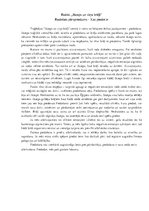 Eseja 'Rainis "Jāzeps un viņa brāļi". Radošais pārspriedums - kas piedot ir', 1.