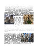 Referāts 'Dženova viduslaikos un jaunajos laikos', 9.