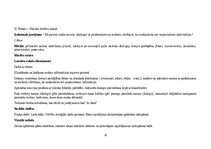 Konspekts 'Integrēto mācību saturs 2.klases skolēniem', 18.