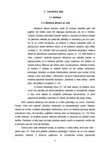 Referāts 'Vidusskolēnu vērtējums par RSEBAA drukātajiem reklāmas materiāliem', 6.