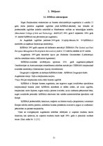 Referāts 'Vidusskolēnu vērtējums par RSEBAA drukātajiem reklāmas materiāliem', 21.