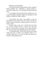 Referāts '2009.gada 13.janvāra notikumu analīze', 5.