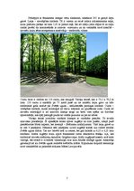 Referāts 'Brāļu kapi', 7.