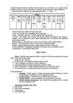 Referāts 'Vērtspapīru tirgus', 13.