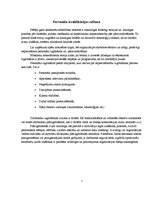 Referāts 'Personāla vadība', 7.