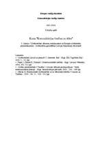 Konspekts 'Cilvēktiesības: jēdziens, starptautiskie un Eiropas cilvēktiesību pamatdokumenti', 1.