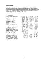 Konspekts 'Balsta iekārtas', 8.