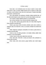 Referāts 'Ilzes Kalnāres personība un krāsu lietojums dzejā', 5.