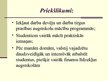 Prezentācija 'Izglītības (kvalifikācijas) nozīme darbinieku atlasē', 13.