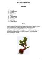 Referāts 'Dārzeņu, augļu un ogu konservēšana', 5.