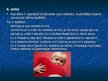 Prezentācija 'Bērnu iepazīstināšana ar savām tiesībām', 7.