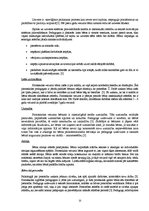 Referāts 'Sporta nodarbība pirmsskolas izglītības iestādē', 15.