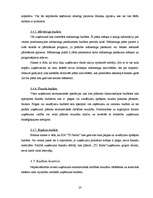 Diplomdarbs 'Finanšu vadība SIA "TD Baltic"', 23.