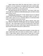 Diplomdarbs 'Finanšu vadība SIA "TD Baltic"', 42.