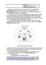 Konspekts 'Ergonomikas loma personāla darba dzīves un dzīves kvalitātes veicināšanā', 4.