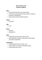 Konspekts 'Mācību stundas plāns', 2.