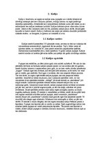 Referāts 'Kafija un tās ietekme uz cilvēku', 5.