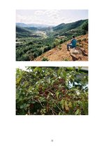 Referāts 'Kafija un tās ietekme uz cilvēku', 12.