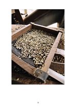 Referāts 'Kafija un tās ietekme uz cilvēku', 13.