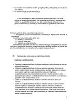 Prakses atskaite 'Prakse SIA "Latvijas fakti"', 5.