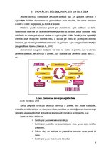 Referāts 'Inovāciju būtība un ietekme uz Latvijas ekonomisko attīstību', 4.