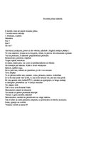 Paraugs 'Padomi, kā rakstīt biznesa plānu', 1.