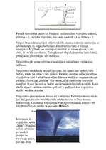 Referāts 'Vēji', 20.