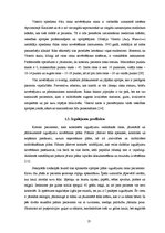 Referāts 'Izgulējumu brūču čūlu novērtēšana un aprūpe ārstniecības iestādēs', 13.