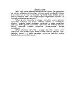 Konspekts 'Nafta', 2.