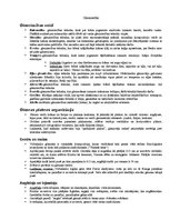 Konspekts 'Glezniecības veidi, žanri. Plaknes organizācija', 1.