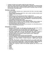 Konspekts 'Glezniecības veidi, žanri. Plaknes organizācija', 2.