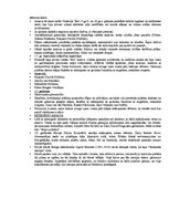 Konspekts 'Glezniecības veidi, žanri. Plaknes organizācija', 6.