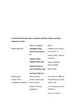 Konspekts 'Patēriņa kredīts', 9.