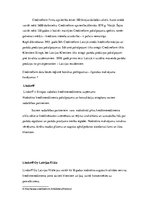 Konspekts 'Patēriņa kredīts', 14.