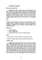 Referāts 'Snowboard', 6.