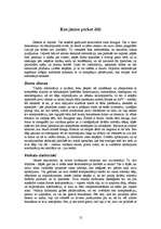 Referāts 'Snowboard', 12.