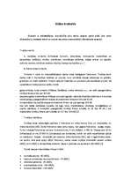 Referāts 'Vides troksnis', 3.