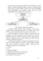 Diplomdarbs 'Sabiedriskās ēdināšanas uzņēmuma "X" darbības pilnveidošana', 25.