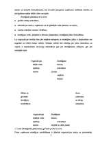 Referāts 'SIA "Adecco" stratēģiskā vadīšana', 7.