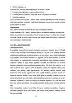 Referāts 'SIA "Adecco" stratēģiskā vadīšana', 20.