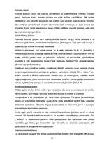 Referāts 'SIA "Adecco" stratēģiskā vadīšana', 21.