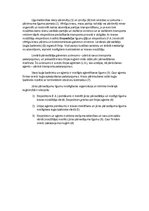 Konspekts 'Lineārā un trampu kuģniecība', 2.