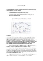 Konspekts 'Lineārā un trampu kuģniecība', 3.